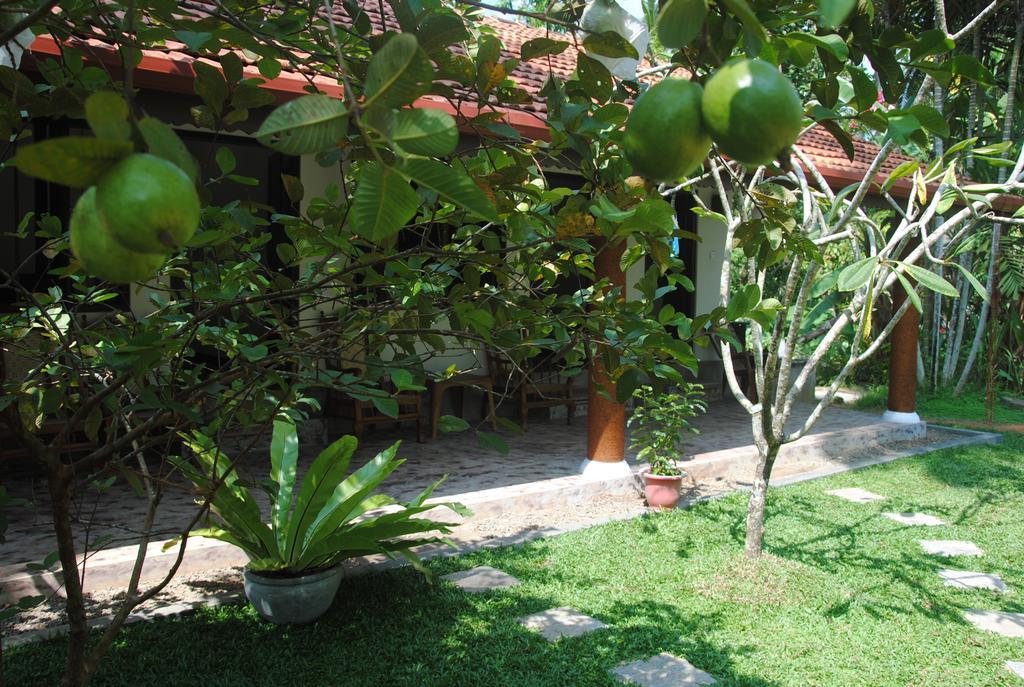 Aknara Rest Hotel Weligama Bagian luar foto