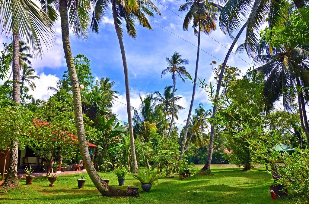 Aknara Rest Hotel Weligama Bagian luar foto