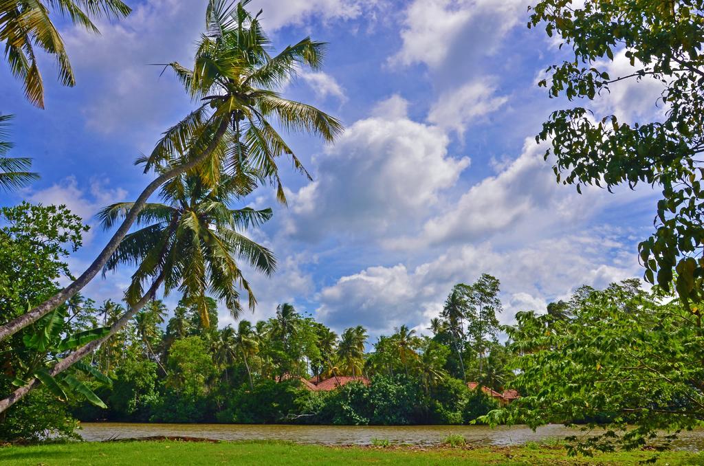 Aknara Rest Hotel Weligama Bagian luar foto
